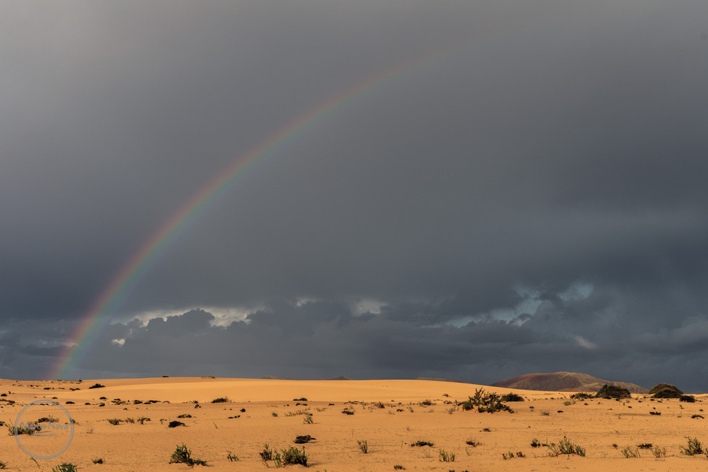 #MarcoNavaFotografo#Fuerteventura15