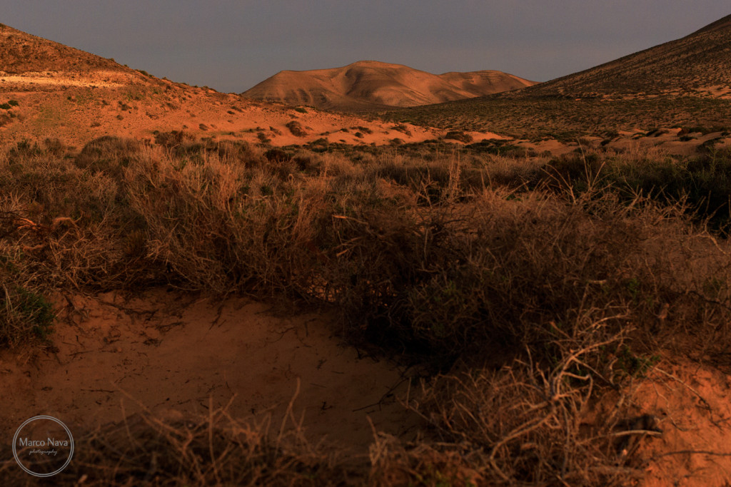 #MarcoNavaFotografo#Fuerteventura2