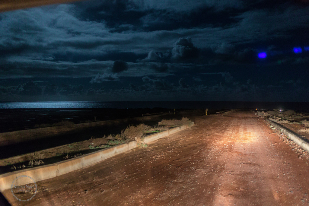 #MarcoNavaFotografo#Fuerteventura32