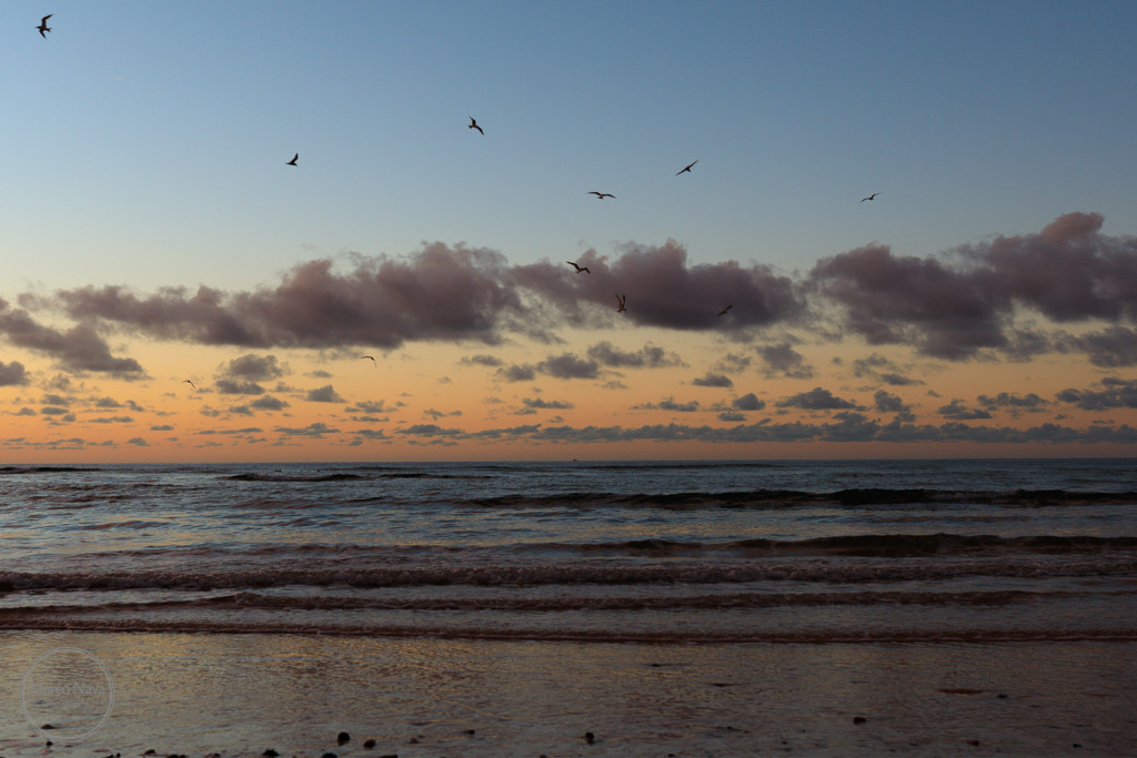 #MarcoNavaFotografo#Fuerteventura5