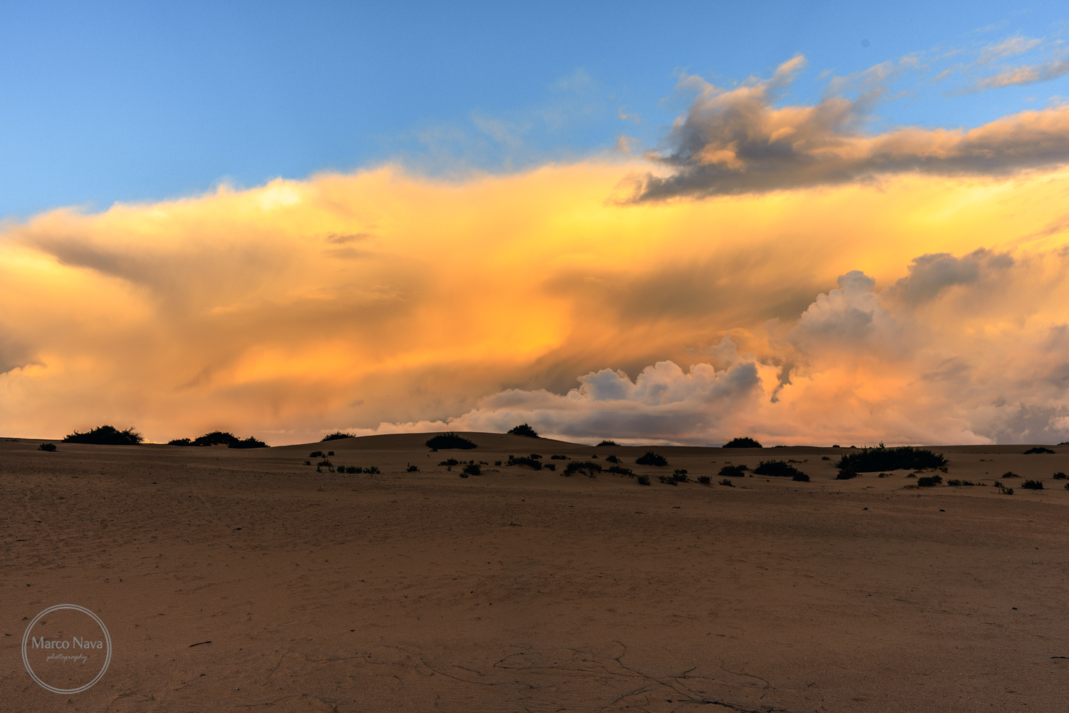 #MarcoNavaFotografo#Fuerteventura12