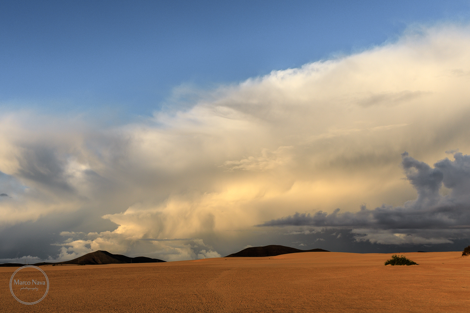 #MarcoNavaFotografo#Fuerteventura13