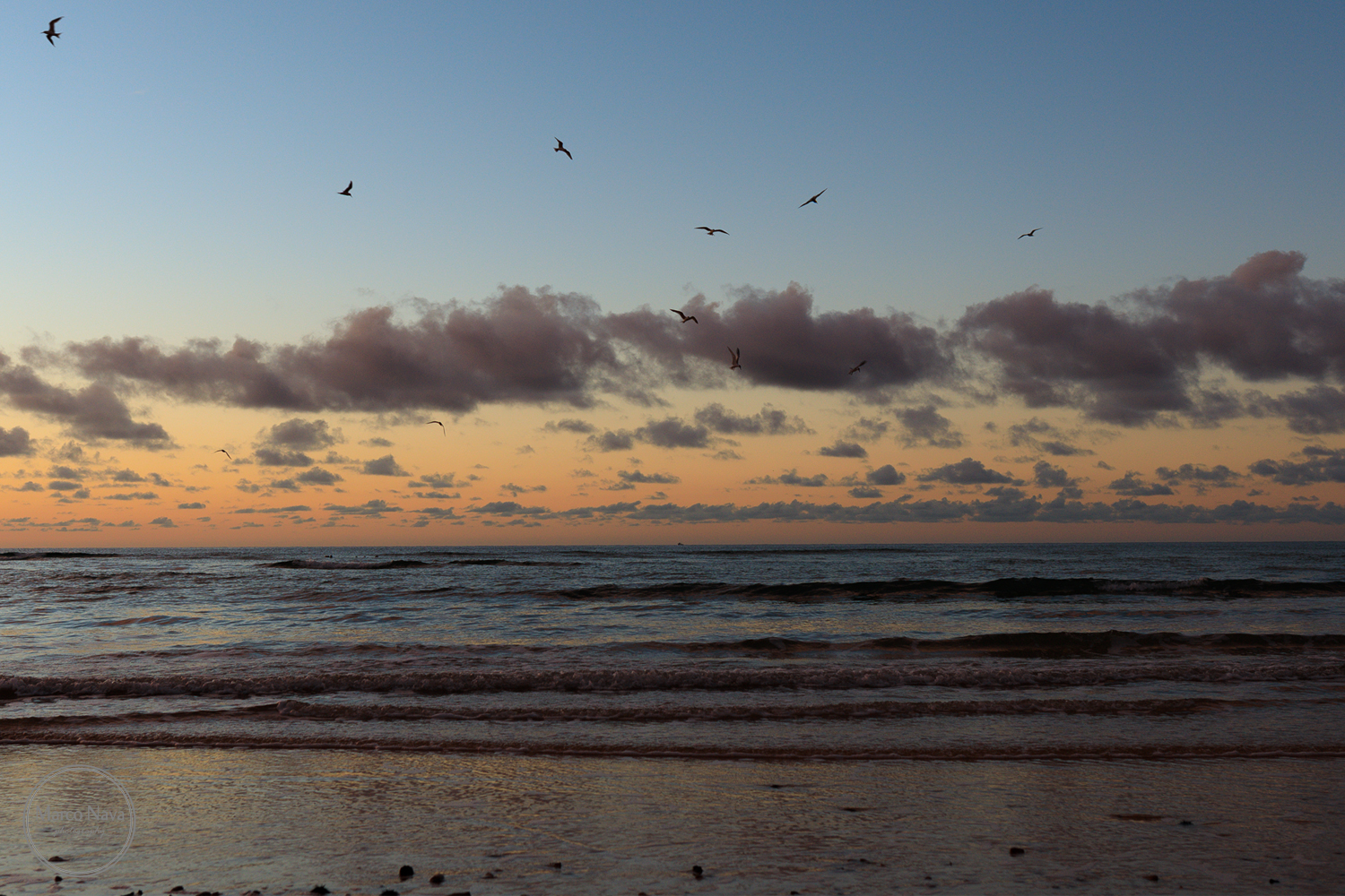 #MarcoNavaFotografo#Fuerteventura5