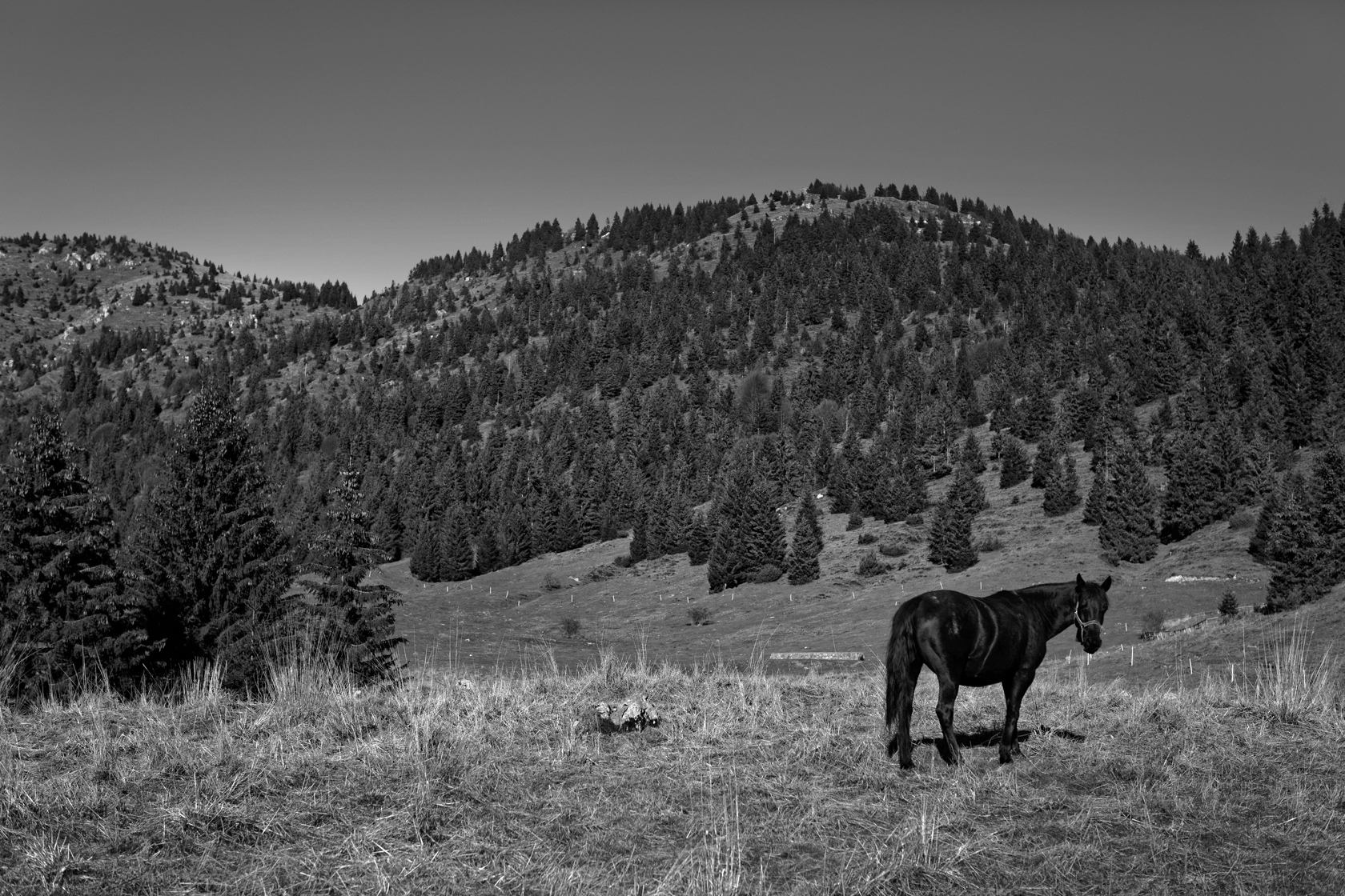 _H1A5629_MarcoNava-copia