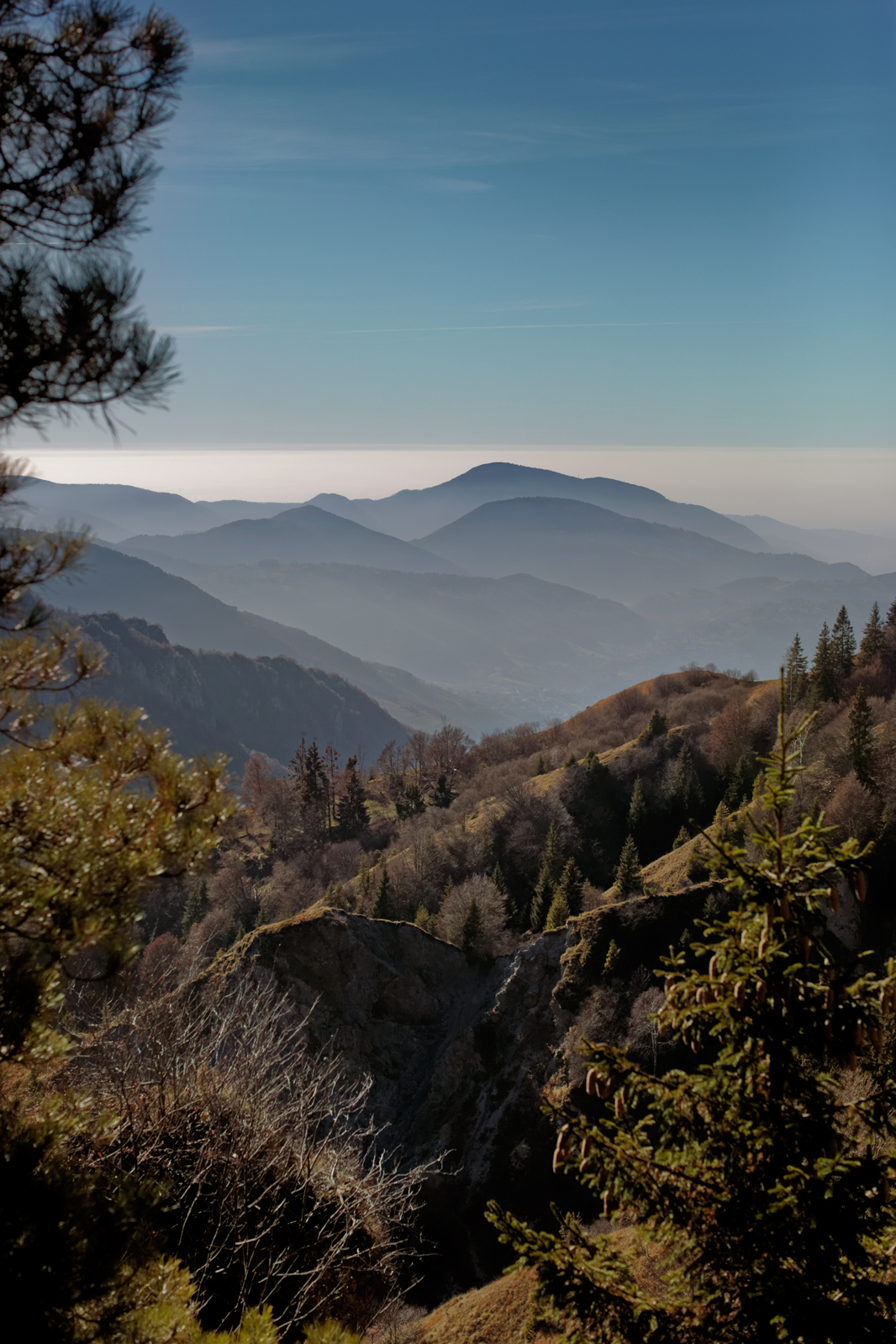 _H1A5633_MarcoNava