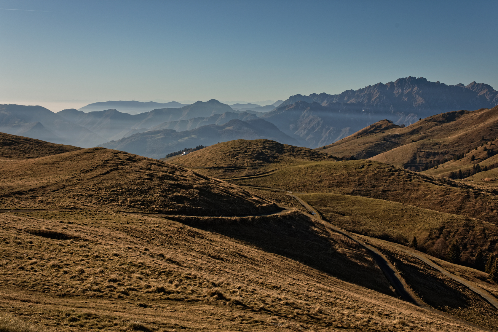 _H1A5655_MarcoNava